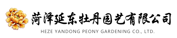 菏澤金牛塑業(yè)有限公司